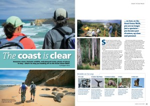 Parks Discovery magazine 